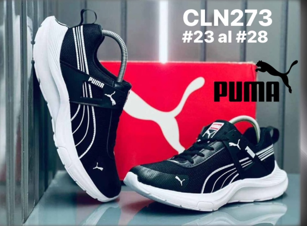 CLN273