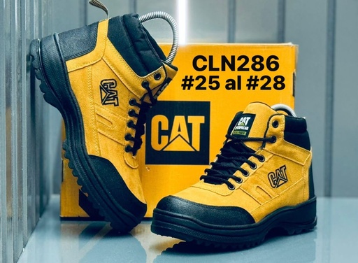 CLN286