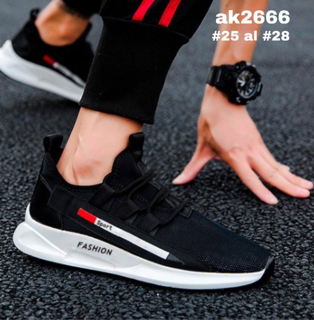 AK2666