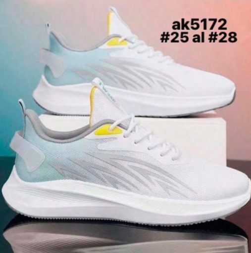 AK5172