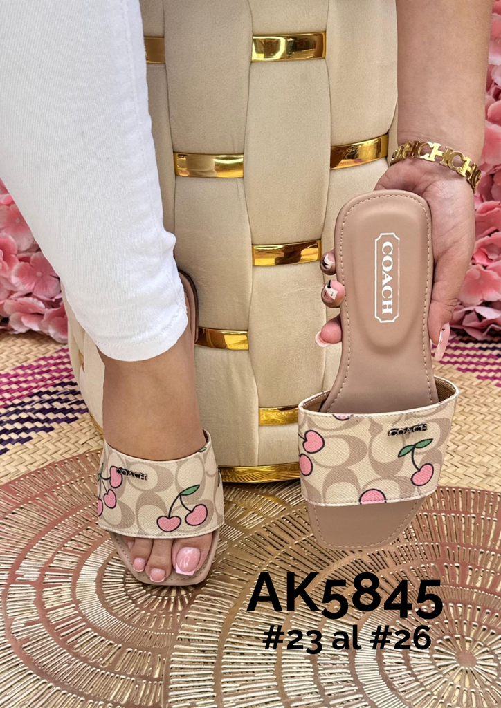 AK5845