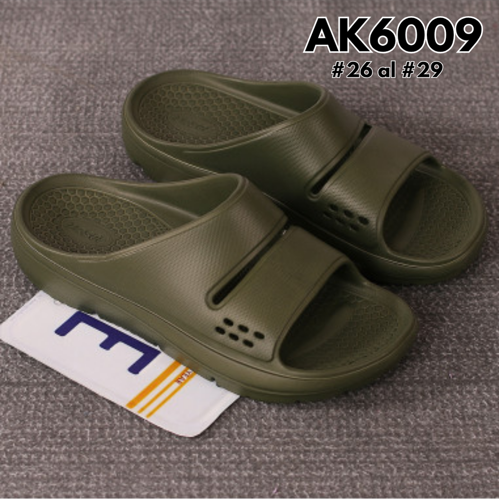 AK6009