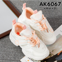 AK6067