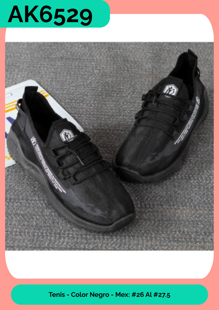 AK6529