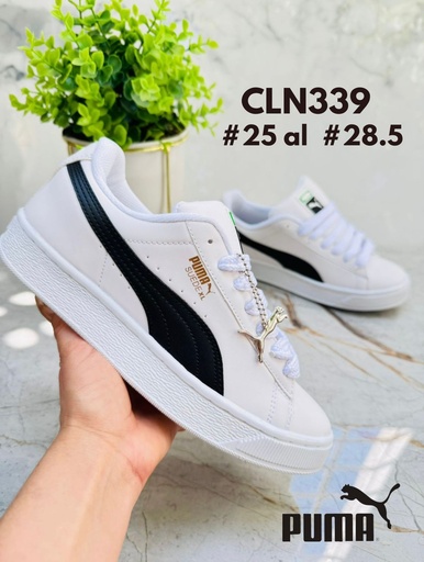 CLN339