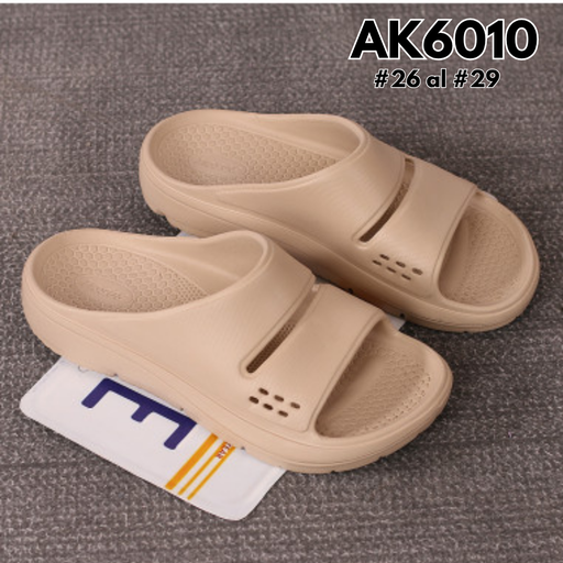 AK6010
