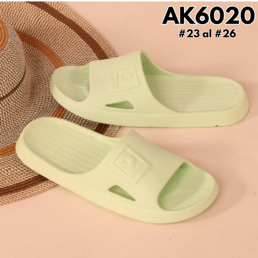 AK6020