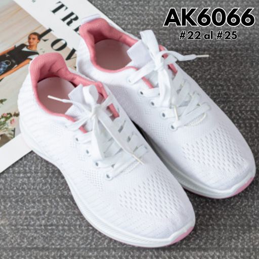 AK6066