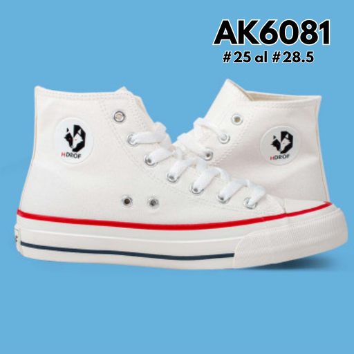 AK6081