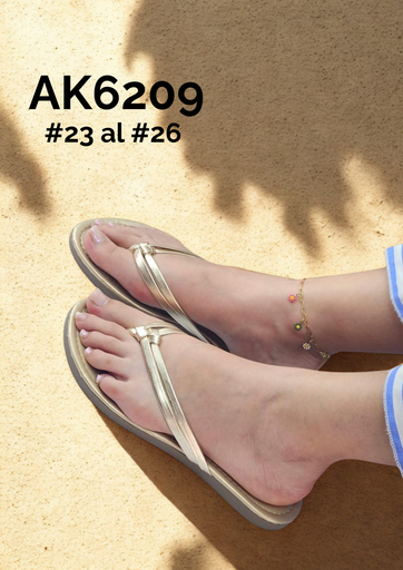 AK6209