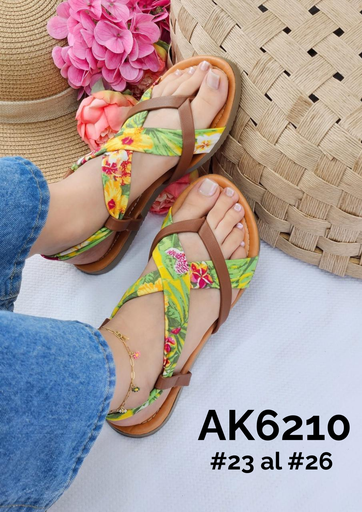 AK6210