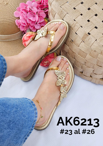 AK6213