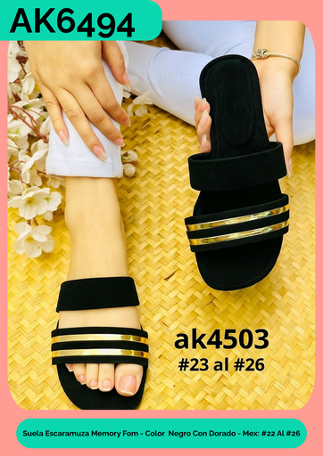 AK6494