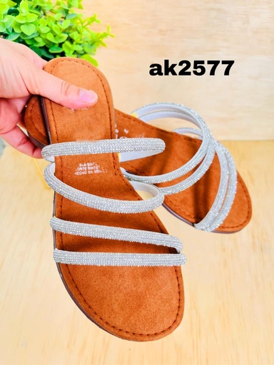 AK2577