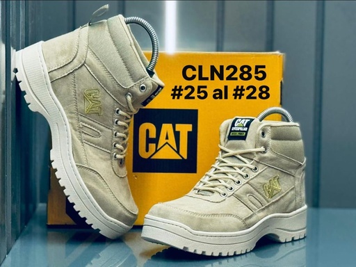 CLN285