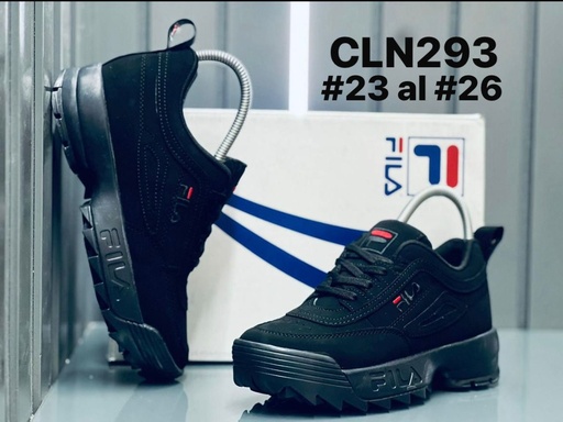 CLN293