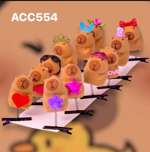 [ACC554] ACC554