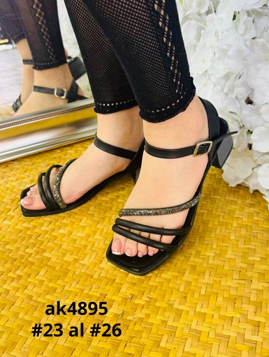 AK4895