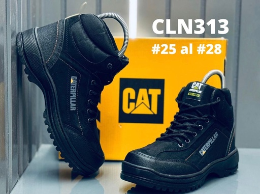 CLN313