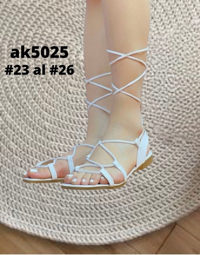 AK5025