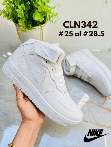 CLN342