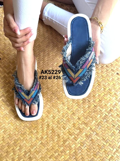 AK5229